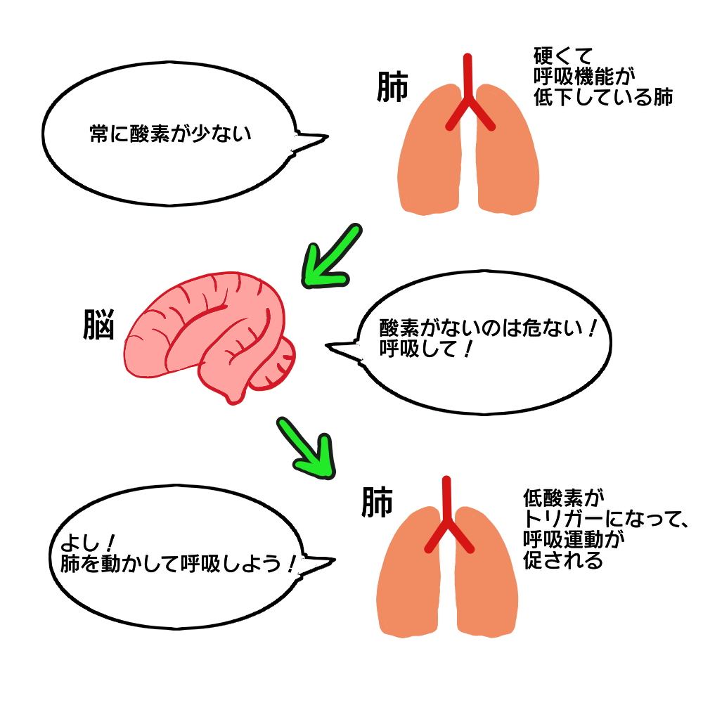 Co2ナルコーシスがわかる！わかりやすい図解で解説。原因、症状等 看護師になったシングルマザーのブログ